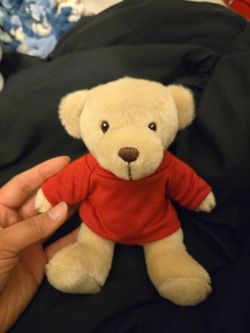 Boston Marathon Duck Plush & Teddy Bear
