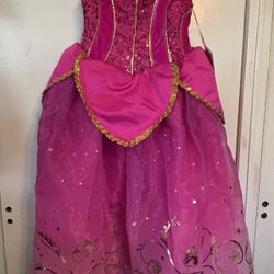 Disney Resort Princess Sleeping Beauty Ball Gown 11/1/