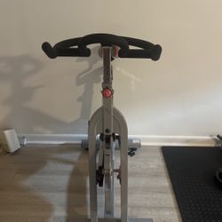 Sunny Indoor Exercise Bike