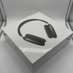 Apple Headphones 