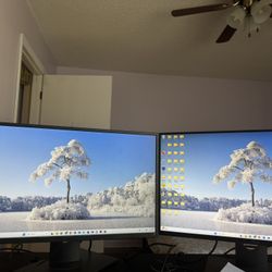 2 Dell Monitors