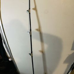 Offshore Fishing Rod