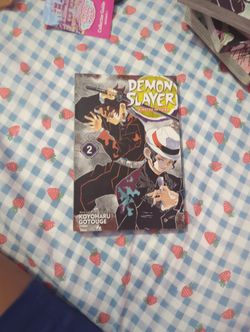 Demon Slayer Manga 2