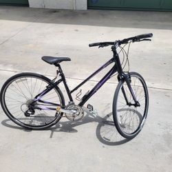 Lady's GIANT hybrid Bike