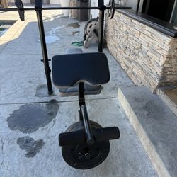 Weight Bench 
