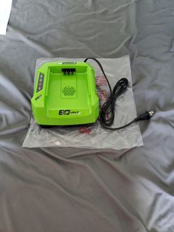 Greenworks Pro 80V Battery Charger - NEW