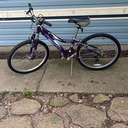 Girls Ironhorse 24” By cycle