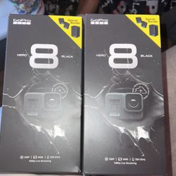 GoPro Hero 8 Camera