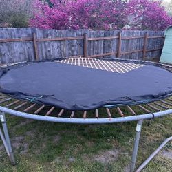 Free Trampoline