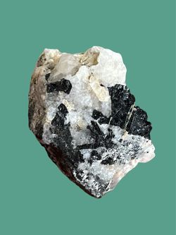Black Tourmaline And Quartz Specimen. Crystals Gemstones Rocks Minerals