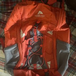 Ozark Trail Backpack For Sale