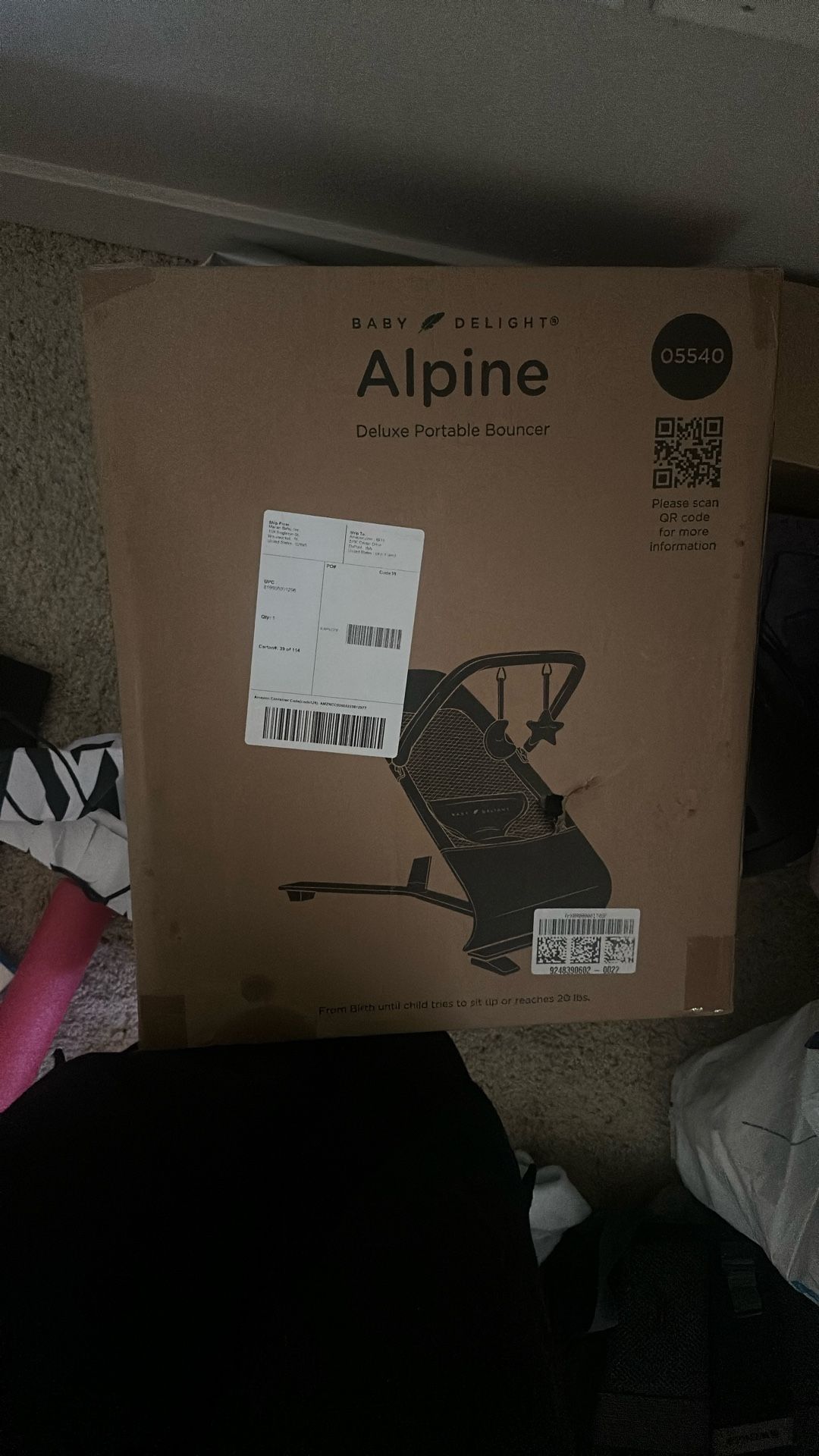 Brand New Baby Girl Bouncer