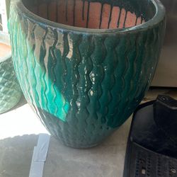 Giant Plant Pot