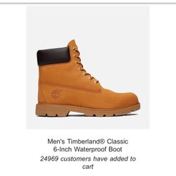 Brand New  Timberland 