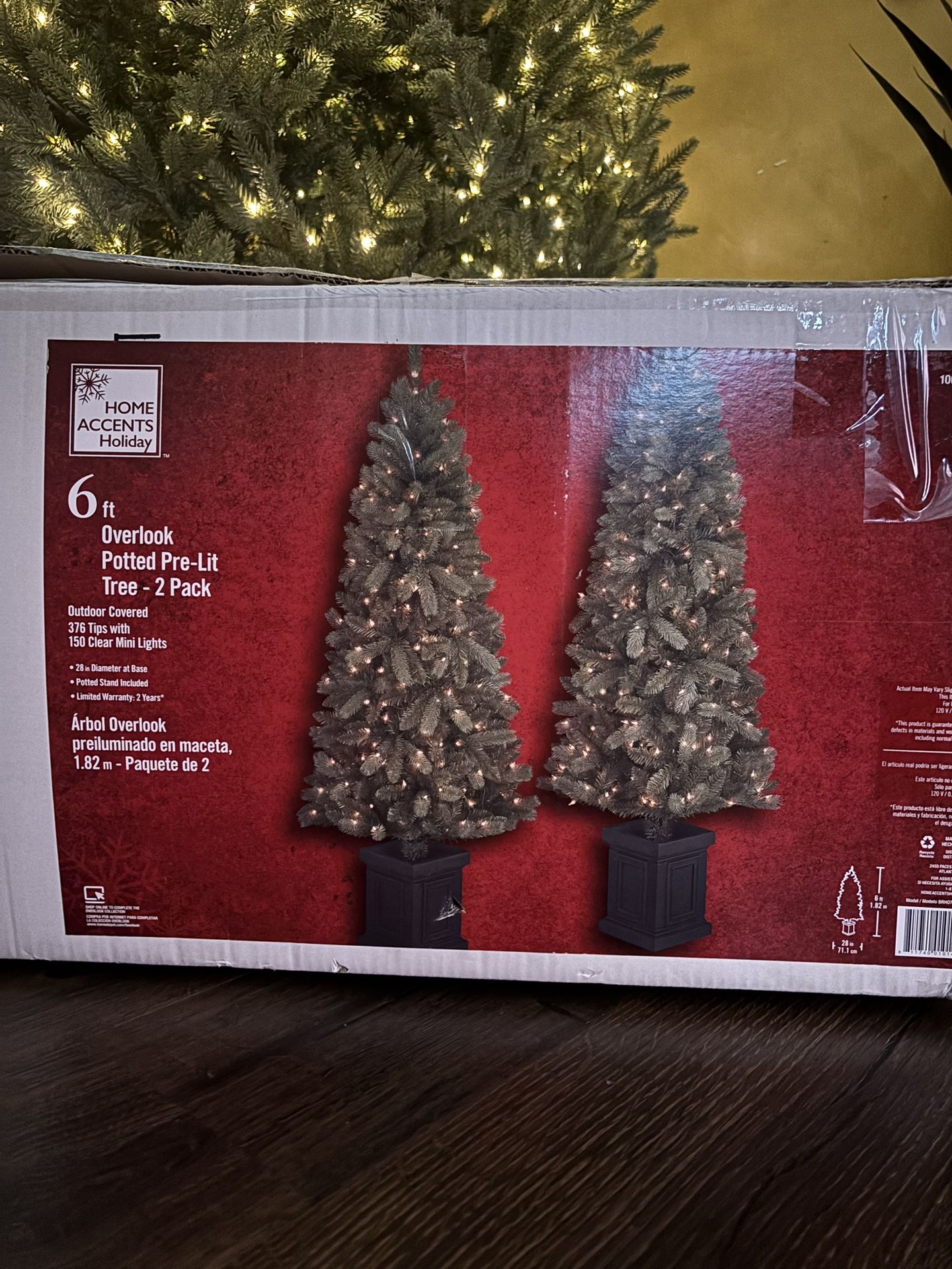 Pair Of 6ft Potted Trees