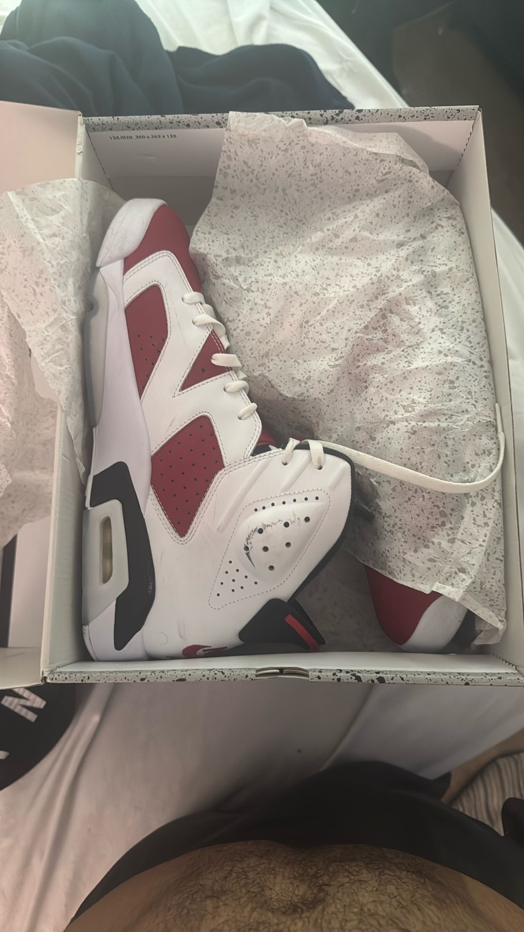 Jordan 6s