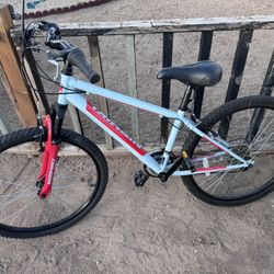 Nishiki Mountain Bicycle 