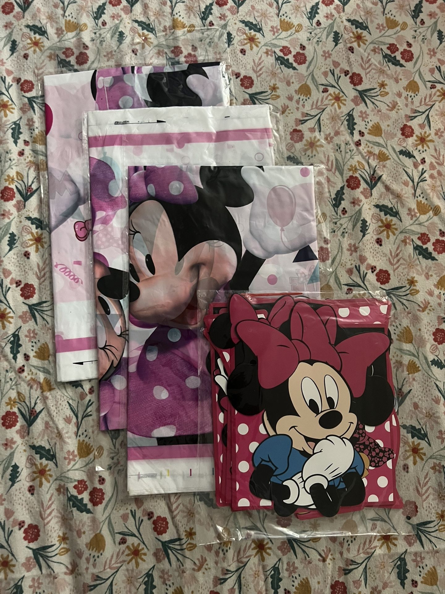 Minnie Mouse Birthday supplies