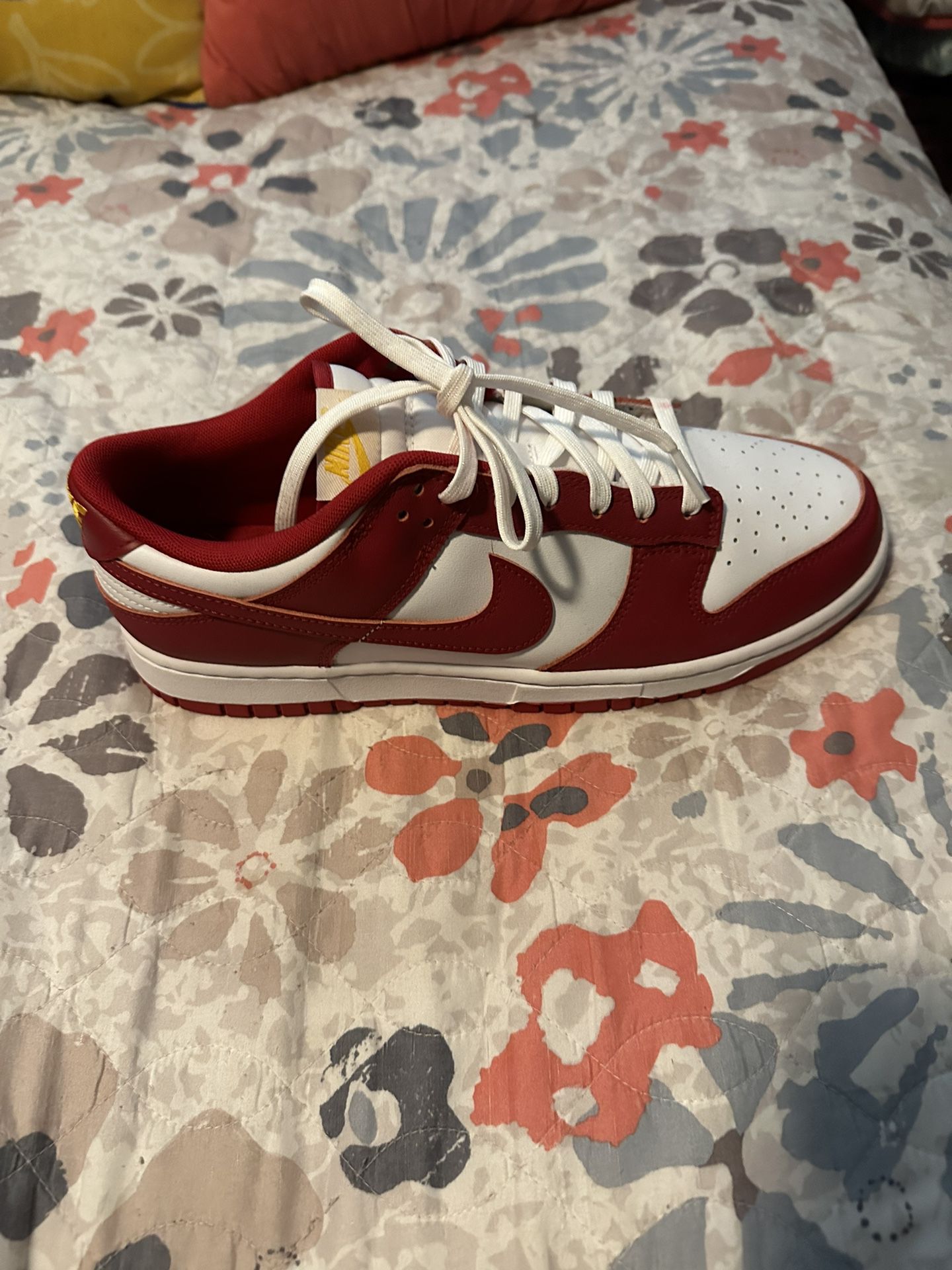 Nike Dunk USC Sz 11 DS Brand New 100% Authentic Nike Product 