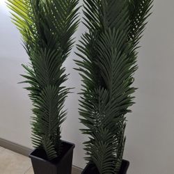 PAIR of 6ft Faux Areca Palms in 24in Black Resin Planters @ Lasting Creations 