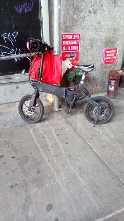 Segway Electric Scooter