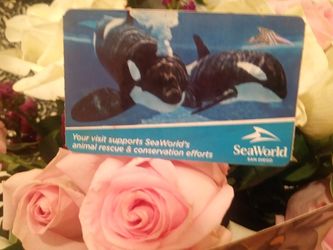 Seaworld tickets