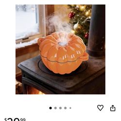 Stove Steamer