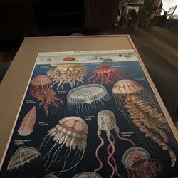 Vintage Puzzle 1000 Pieces - Jellyfish