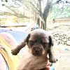 Sloane