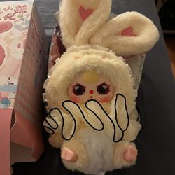 Baby Three Lily rabbit!