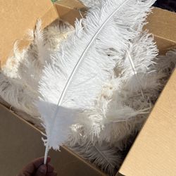 White Ostrich Feathers 