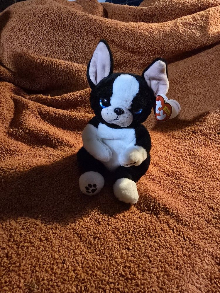 TY Toy