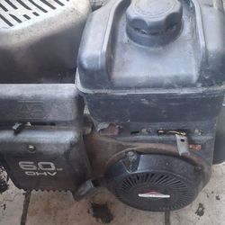 Pressure Washer engine 