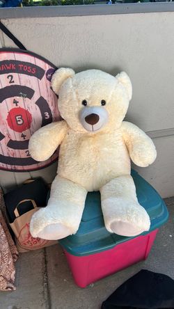 Teddy