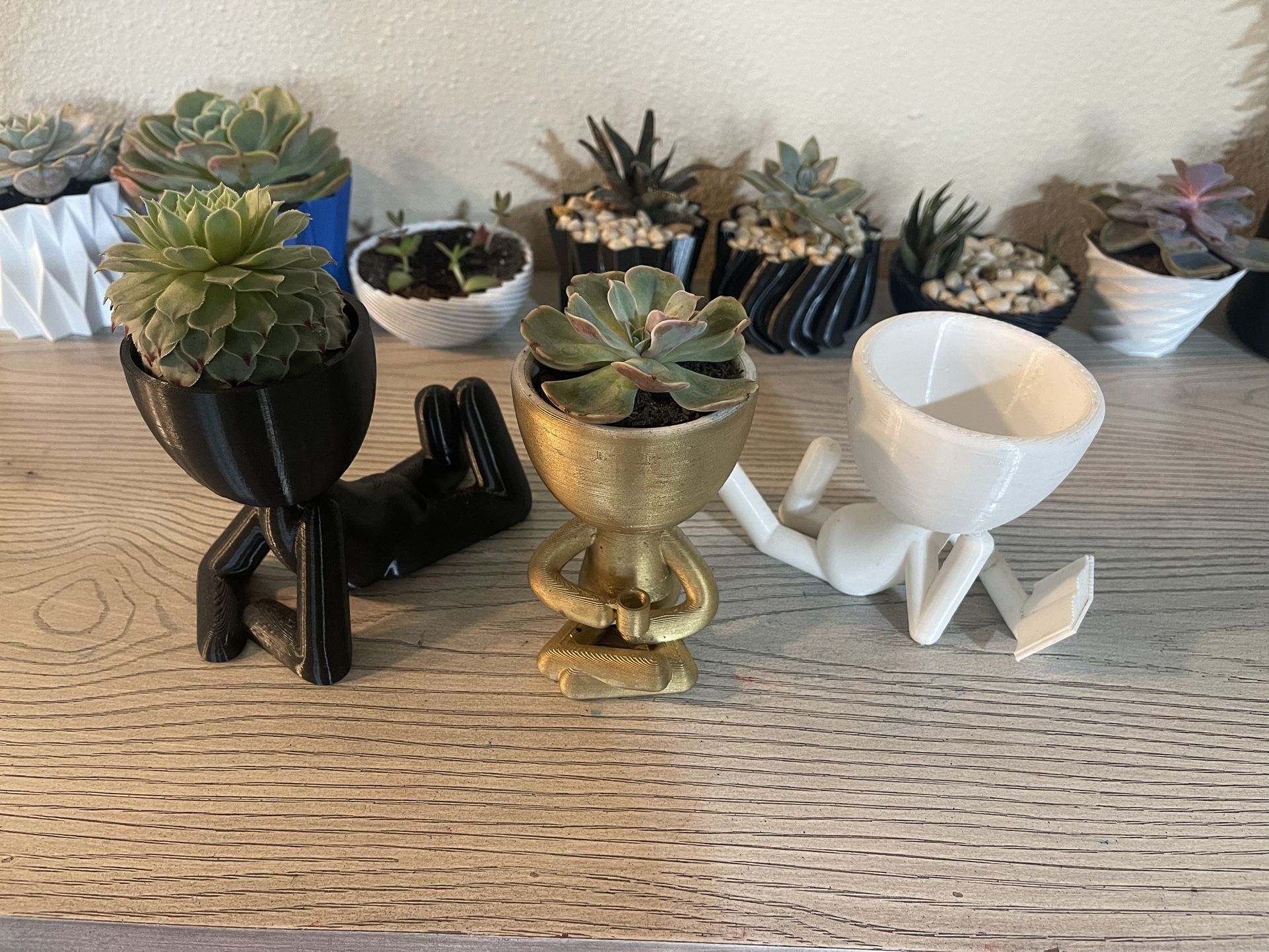 Succulent Pots For Sale 