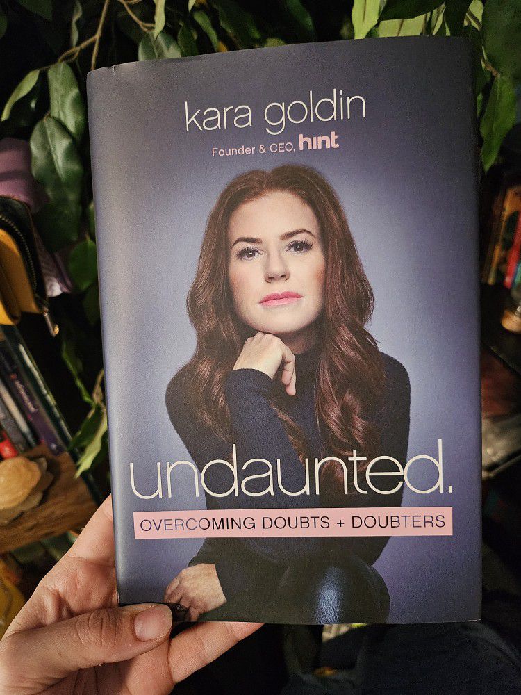 Undaunted By Kara Goldin