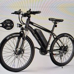 Electric bike For Adults