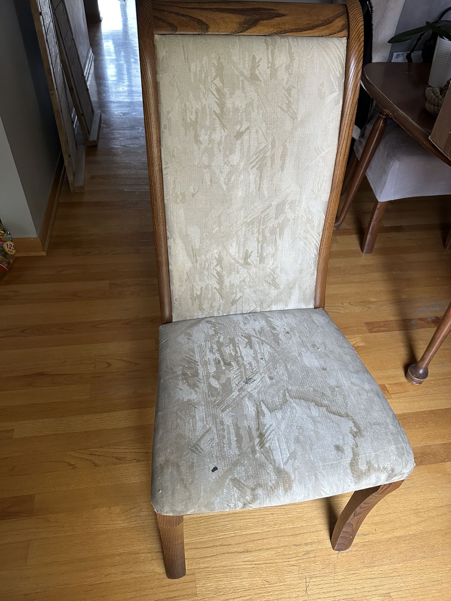 FREE 6 Dinning Chairs For You