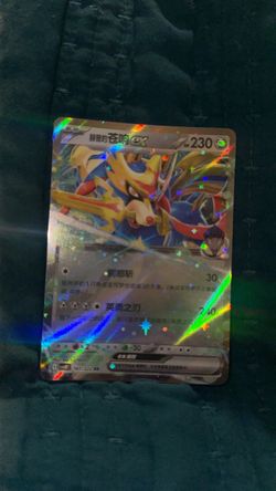 Pokémon TCG Zamazenta ex Holo Card 167/222