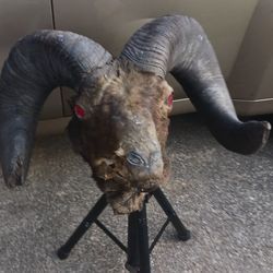 Antique  Ram 