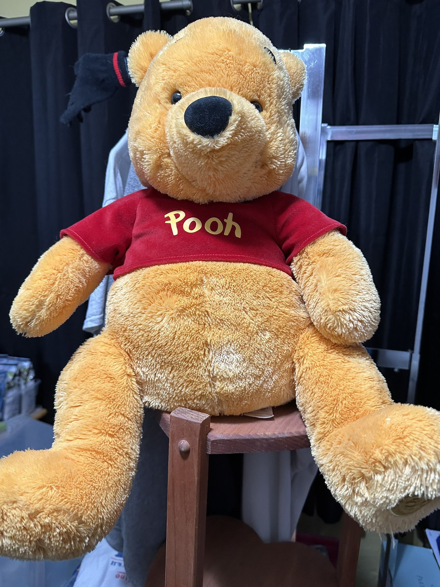 Stuffed Winnie The Pooh