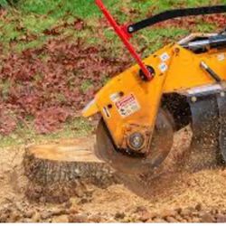 Stump Grinding