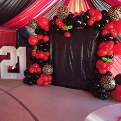 Balloon Backdrop Setup