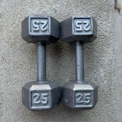 25lbs Dumbbells Pair Set
