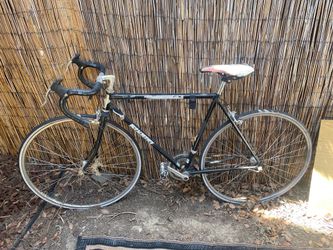 Vintage nishiki champion bike