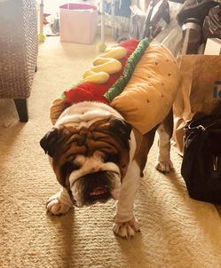 XL Hot Dog Halloween Costume