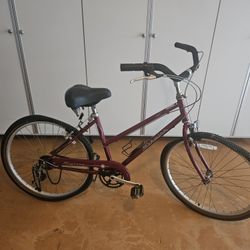 2 Ladies Schwinns, 1 Girls Bike, 1 Scooter & 2 Adult Helmets 