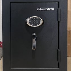 SentrySafe Fireproof Safe