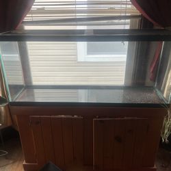 Aquarium & Stand