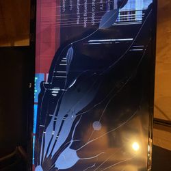 Broken Roku Tv 